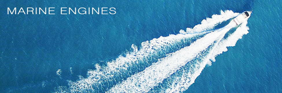 Steyr marine program